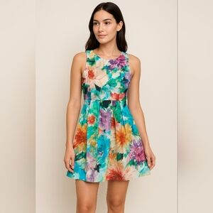 Felicity & Coco Watercolor Floral Fit & Flare‎ Dress XS Cotton Lined